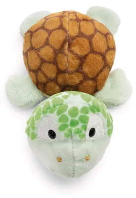 Produktbild von Nici Schildkröte Magnici 12 Cm    One Size