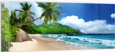 Produktbild von DEQORI Küchenrückwand Glas 125x50 cm 'Tropische Strandkulisse' Spritzschutz Bad Rückwand