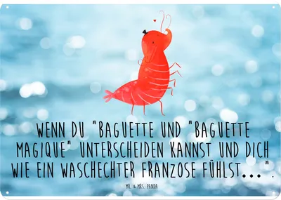 Produktbild von Mr. & Mrs. Panda Schild Garnele Franzose DIN A4 - Oceanblue - Geschenk, Magnetschild, Französisch, Türschild, Meer, tafel, Krabbe, Retro Blechschild, Wandbild