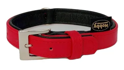 Obrázok produktu pre Nobby 78142-01, Pes, Štandardný obojok, Červená, Jednofarebné, S, 1,7 cm