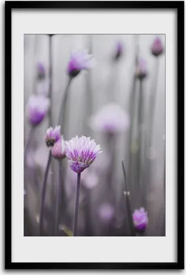 Produktbild von Bild - Bilderrahmen - 40 cm x 60 cm - MDF - Rahmen - Wandkunst - Schnittlauchblumen