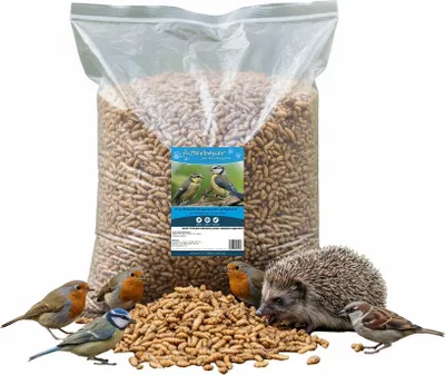 Produktbild von 5kg Futterbauer Soldatenfliegenlarven wie Mehlwürmer Vogelfutter