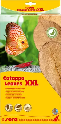 Image de sERA Catappa Feuilles XXL 10 pièces