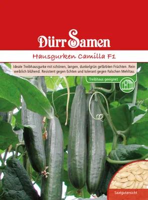 Produktbild von Dürr-Samen - Hausgurken Camilla F1 - Saatgut - 1112