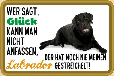 Produktbild von vianmo Holzschild 12x18 cm Glück nicht anfassen Labrador Dekoration