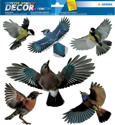 Produktbild von Warnvögel 30x30cm bunt 6 Stück Packung mit 5 Stück