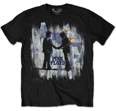 Obrázek produktu pro Pink Floyd Wish You Were Here Painting Tričko s krátkým rukávem Black 2XL