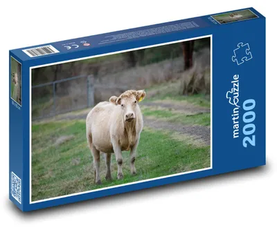 Zdjęcie produktu dla Puzzle 2000 Krowa na zielonej łące - martinpuzzle