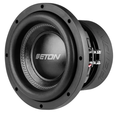 Immagine prodotto di Eton Move MW10, subwoofer da 25 cm con altoparlante per bassi