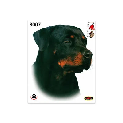 Produktbild von Sticker Rottweiler 14 x 16 cm