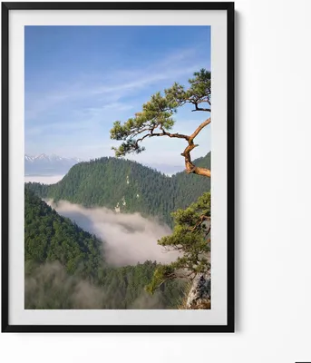 Produktbild von Sokolica-Gipfel im Pieniny-Gebirge– Wandbild mit Rahmen – Gerahmtes Bild  – Wanddekoration – 70x100 cm –  Schwarz Rahmen