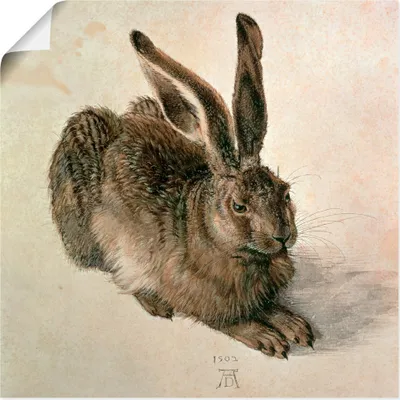 Produktbild von ARTland Poster Junger Feldhase. 1502 Größe: 40x40 cm