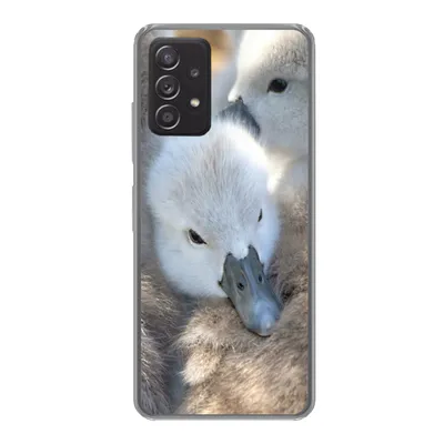 Produktbild von MuchoWow® Handyhülle Schutzhülle Hülle für Samsung galaxy a73 Schwäne - Licht - Küken Silikon Softcase Handy Hülle - Handyhülle