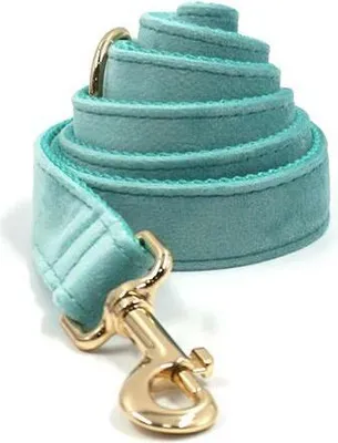 Image de Laisse pour chien Lakeblue