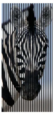 Produktbild von Akustikpaneele mit Digitaldruck Zebra01 19 x 1133 x 2400 mm Zebra MDF PET-Fasern Wandpaneele Schwarz Weiß Blau 2 Einzelplatten