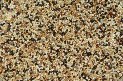 Image de Wielink, mélange de graines pour volailles – 20 kg