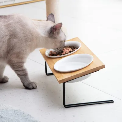 Produktbild von Penelife Futterstation mit 2 Näpfen - Bambus Ständer mit Futternapf - Fressnapf - Trinknapf für Hunde und Katzen - Hundenapf Erhöht (12 cm) in Natur