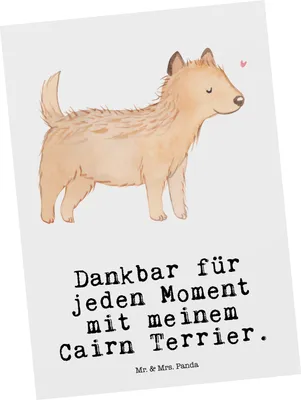 Produktbild von Mr. & Mrs. Panda Postkarte Cairn Terrier Moment - Weiß - Geschenk, Ansichtskarte, einzelkarte, Postkarten, Grußkarte, Ansichtskarten