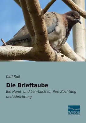 Zdjęcie produktu dla Die Brieftaube