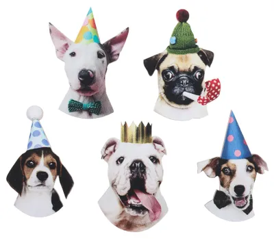 Produktbild von 25 Streu-Deko Konfetti Party Hund Geburtstag