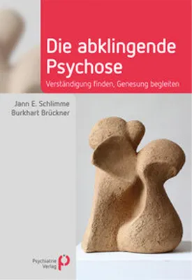 Produktbild von Die abklingende Psychose