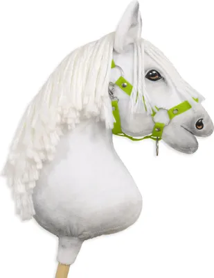 Immagine prodotto di Hobby Horse - Guinzaglio regolabile per cavalli, formato A3 - Colore: verde lime