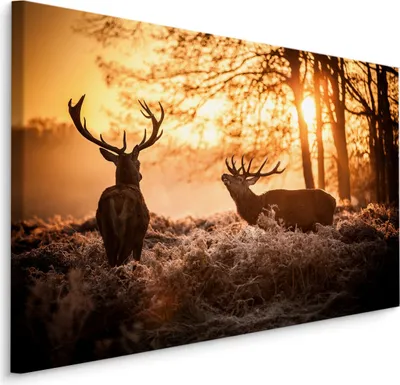 Produktbild von Fabelhafte Canvas LEINWAND BILDER 90x60 cm XXL Kunstdruck Natur Hirsche Winter Sonne