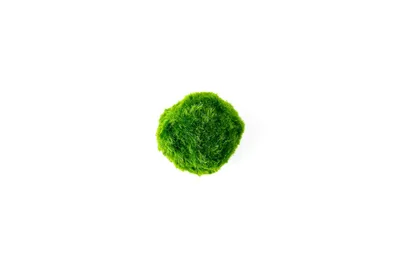 Obrázok produktu pre Gardners Reďkovka zelená S