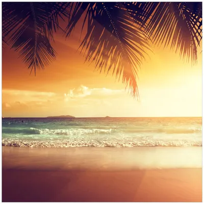 Produktbild von Wallario Sticker / Aufkleber für Kühlschrank / Geschirrspüler / Küchenschränke, selbstklebende Folie - 60 x 60 cm, Motiv: Sonnenuntergang am Strand in der Karibik