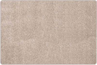 A close-up view of a beige carpet.