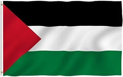 Immagine prodotto di Bandiera della Palestina