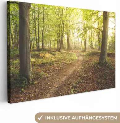 Produktbild von OneMillionCanvasses® - Leinwandbilder - 150x100 cm, Wald - Weg - Sonnenaufgang, Wandbilder Kunstdruck Wanddekoration