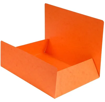 Obrázok produktu pre Exacompta 56409E - A4 - Karton - Orange - 200 Blätter - 0,5 mm - 240 mm