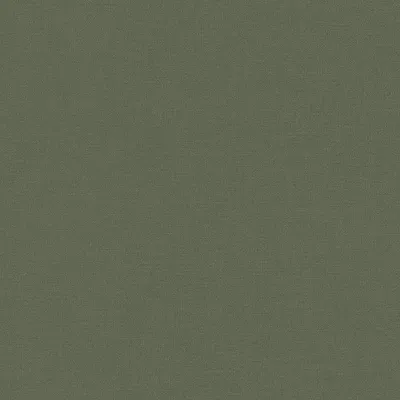 Zdjęcie produktu dla A.S. Creation | Travel Styles | 392663 | Tapeta z włókniny | Jednokolorowa | 10,05 m x 0,53 m | Zielona