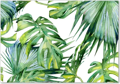 Produktbild von Tulup® Leinwandbild - 100x70 cm - Wandkunst - Drucke auf Leinwand - Leinwanddruck  - Blumen & Pflanzen - Grün - Tropische Blätter