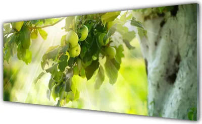 Produktbild von Acrylglasbilder 125x50 Wandbild Druck Zweig Äpfel Küche