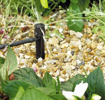 Image de Produits de jardin