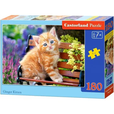 Produktbild von CASTORLAND Puzzle Ingwer-Kätzchen 180 Teile
