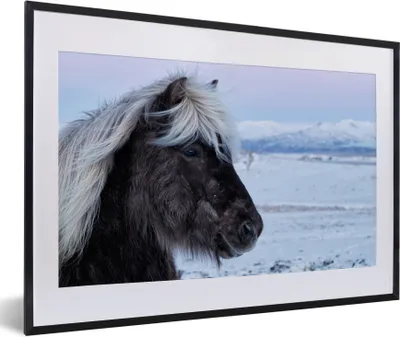 Produktbild von MuchoWow® Gerahmtes Poster Pferd - Schnee - Braun 60x40 cm - Poster mit Schwarzem Bilderrahmen Wandposter Rahmen Foto Bilder - Schlafzimmer - Plakat in Rahmen - Drucken