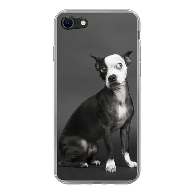 Produktbild von MuchoWow® Handyhülle Schutzhülle Hülle für iPhone 8 Hund - Spot - Porträt Silikon Softcase Handy Hülle