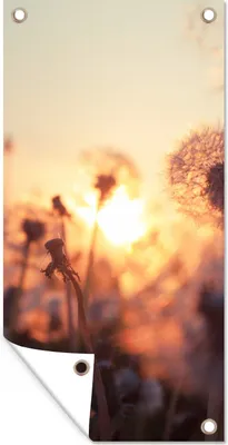 Produktbild von MuchoWow® 80x160 cm Outdoor-Poster Gartendeko Sichtschutz Garten Poster für den Garten  Löwenzahn - Sonnenuntergang - Frühling