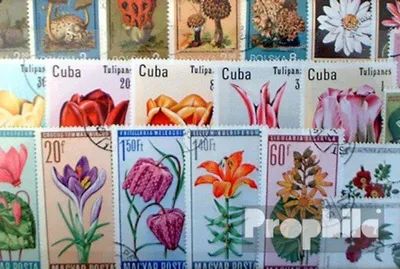 Produktbild von Briefmarken Motive 100 verschiedene Blumen und Pflanzen Marken