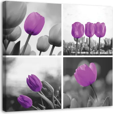 Produktbild von Leinwandbild lila tulpen im set 40x40 cm Feeby lila wandbild bereit zum aufhängen