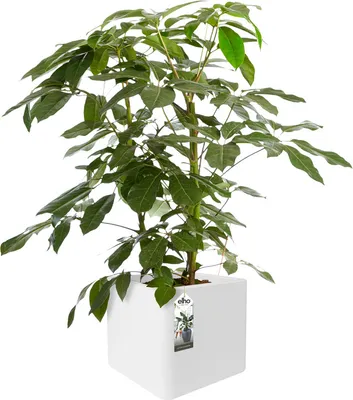 Produktbild von Elho Greenville Rund 30 - Blumentopf - Laubgrün - Außen - Ø 29.5 x H 27.8 cm