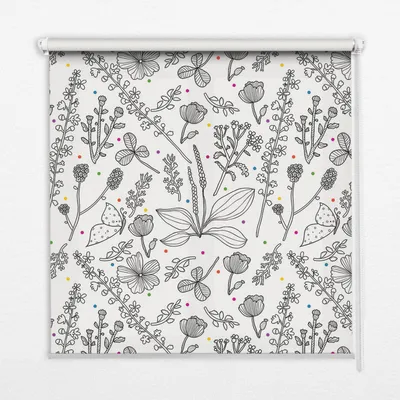 Produktbild von Seitenzug-Rollo Fensterrollo Jalousie - Lichtdurchlässig Springrollos - 80x240 cm - Gezeichnete Pflanzen