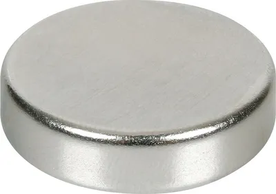 Obrázek produktu pro Neodymový magnetický disk - 121N - 30x7 mm - Sfuso