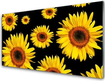 Imagen del producto de Panel protector de vidrio para cocina, 100x50 cm, con diseño de girasoles y plantas