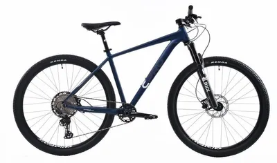 Zdjęcie produktu dla Rower górski Capriolo MTB AL-RO 9.7 29" niebieski