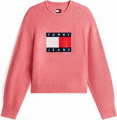 Image de Pull Tommy Jeans DW0DW21782-T09 pour Femme