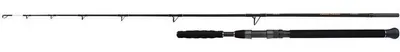 Produktbild von Shimano Beastmaster AX Catfish 220cm 120g 2pc Welsrute
